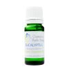 Organic Eucalyptus Essential Oil (Eucalyptus Globules)